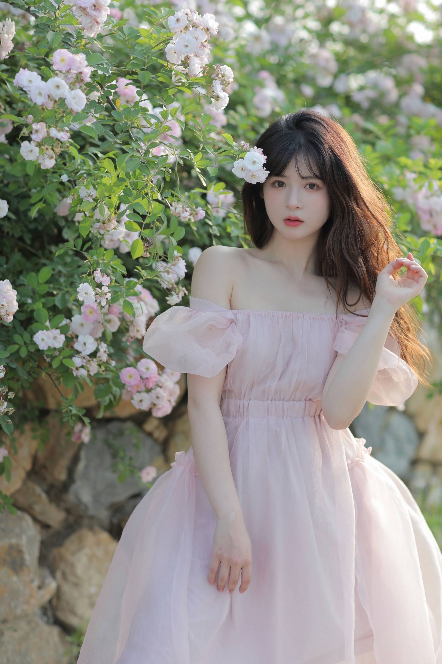 美女图片