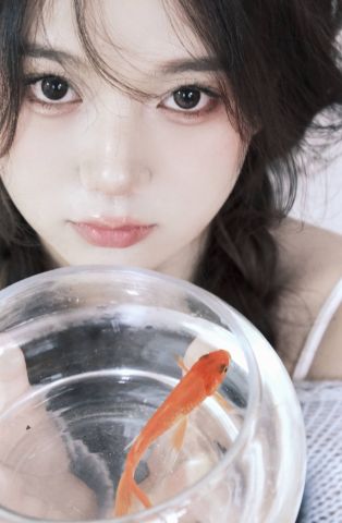 美女图片